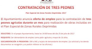 empleo_zonas_rurales_2